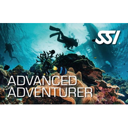 Adventure Diver Upgrade
